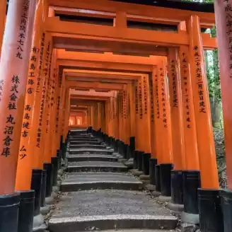 santuario di fushimi inari taisha 1