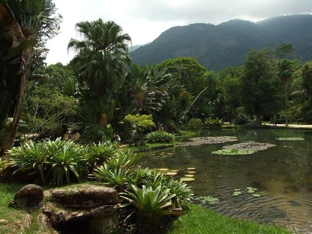 giardino botanico di rio
