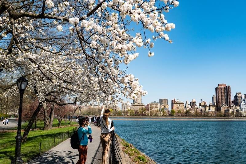 central Park new york city