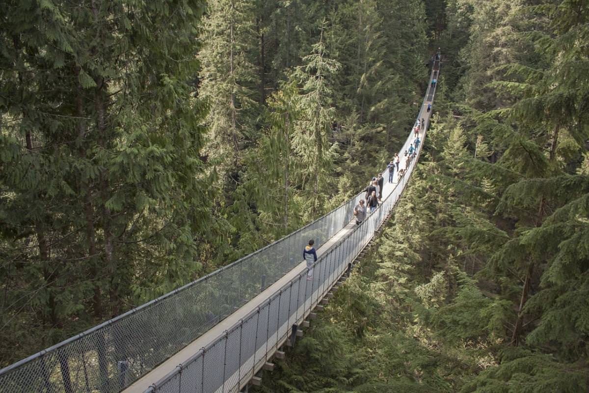 ponte sospeso capilano deserto 2