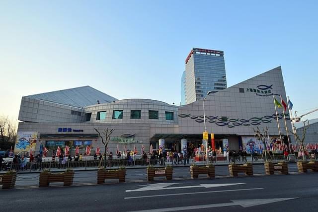 shanghai aquarium