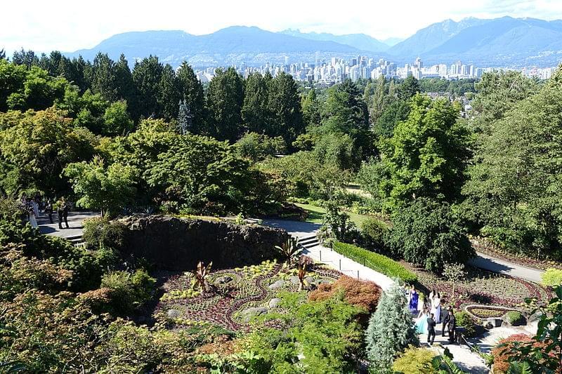 small quarry garden queen elizabeth park 1